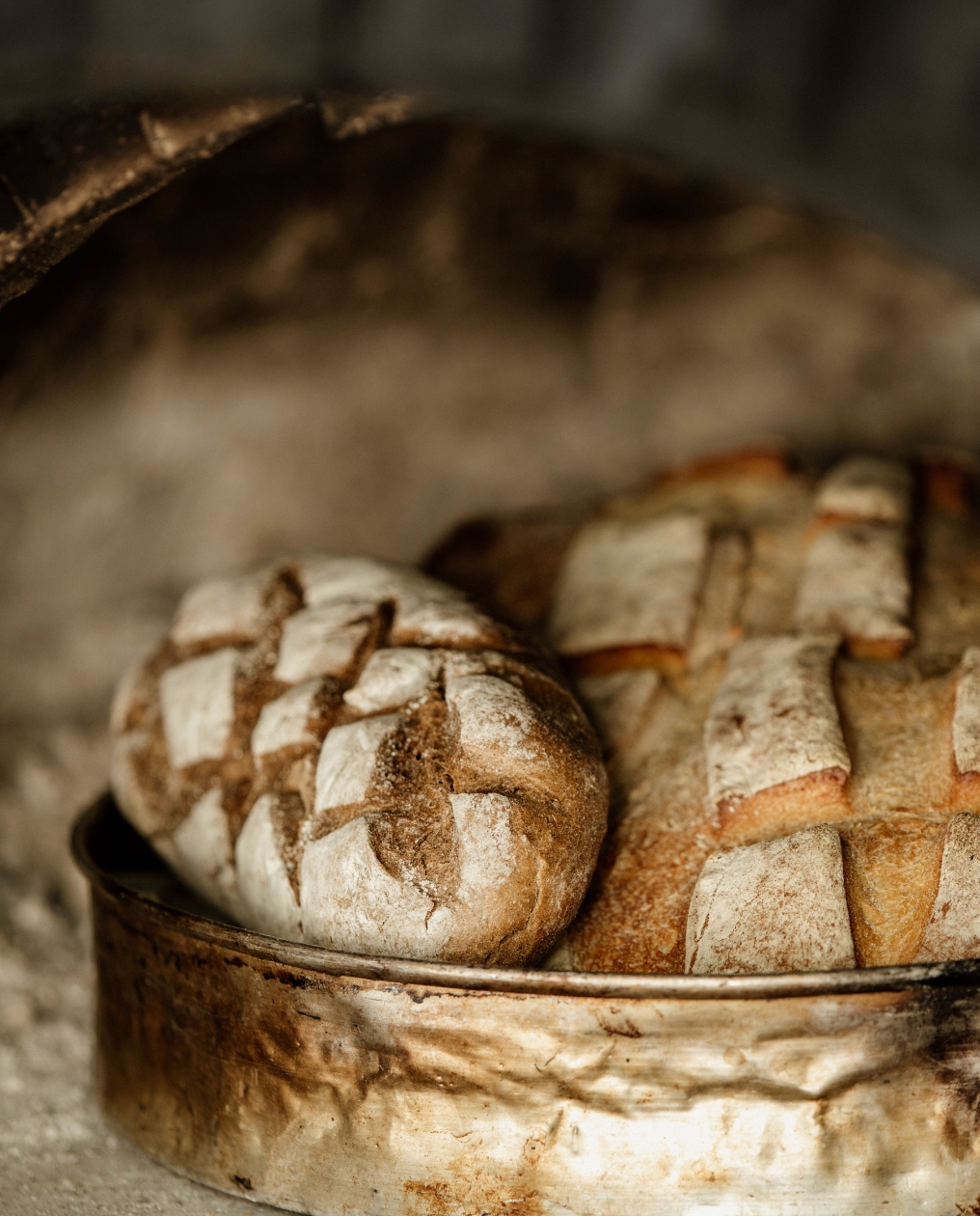 Phaea Cretan Malia Theme Box 03 Experiences 1.2