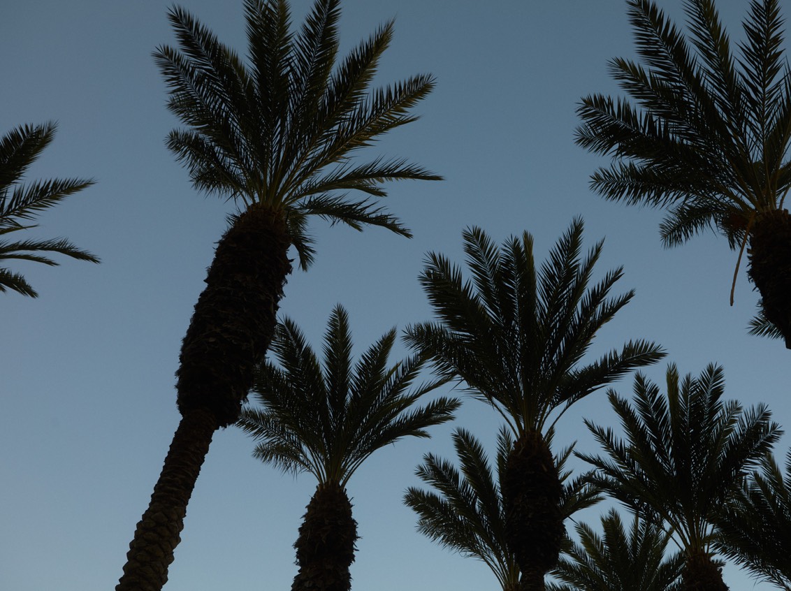 DH Originals Granger 03