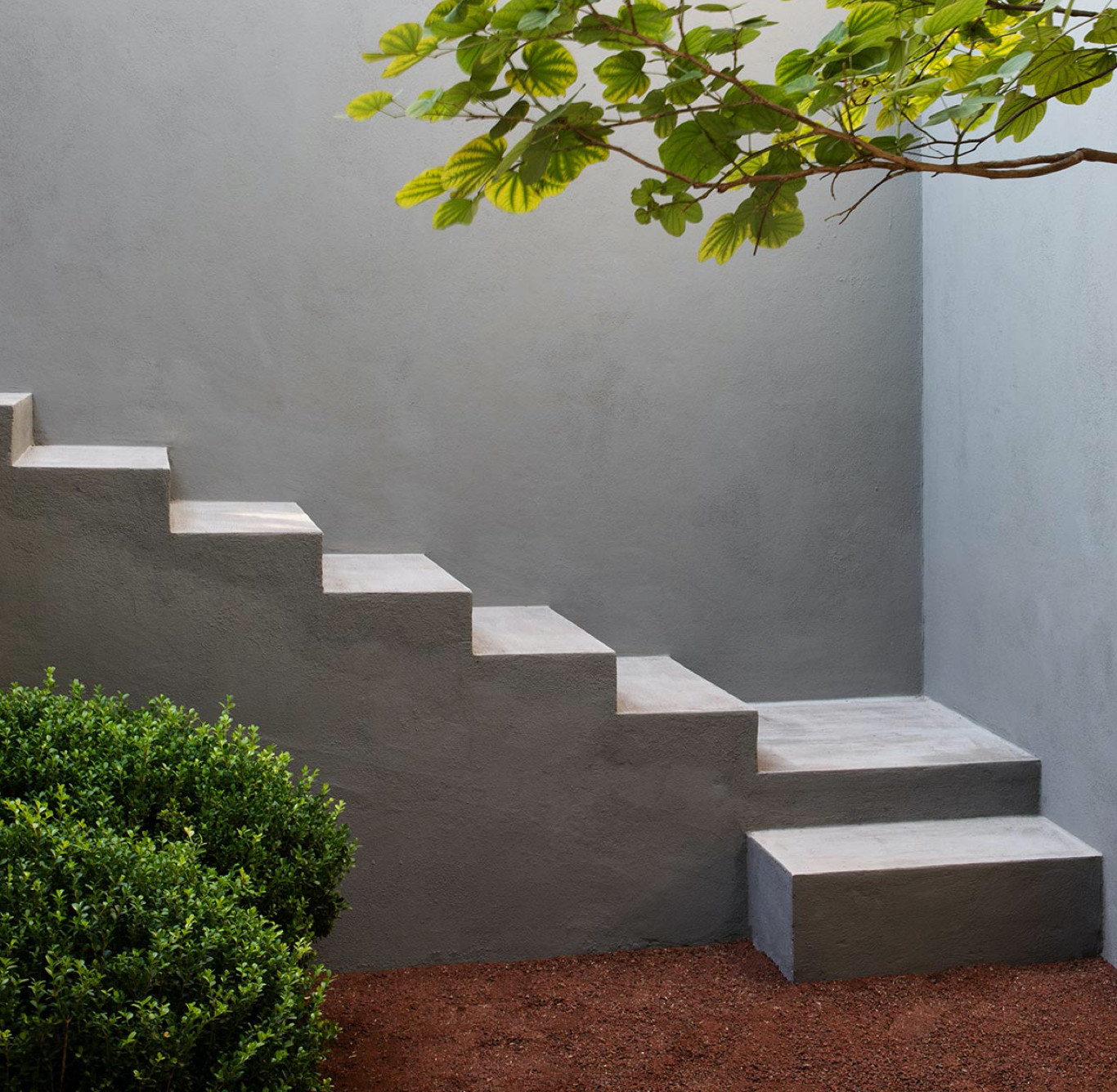 DD Max Von Werz 001 B