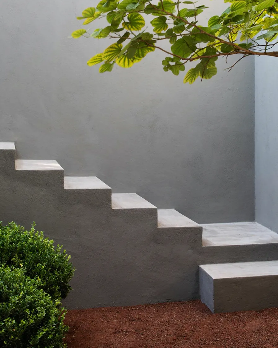 DD Max Von Werz 001 B