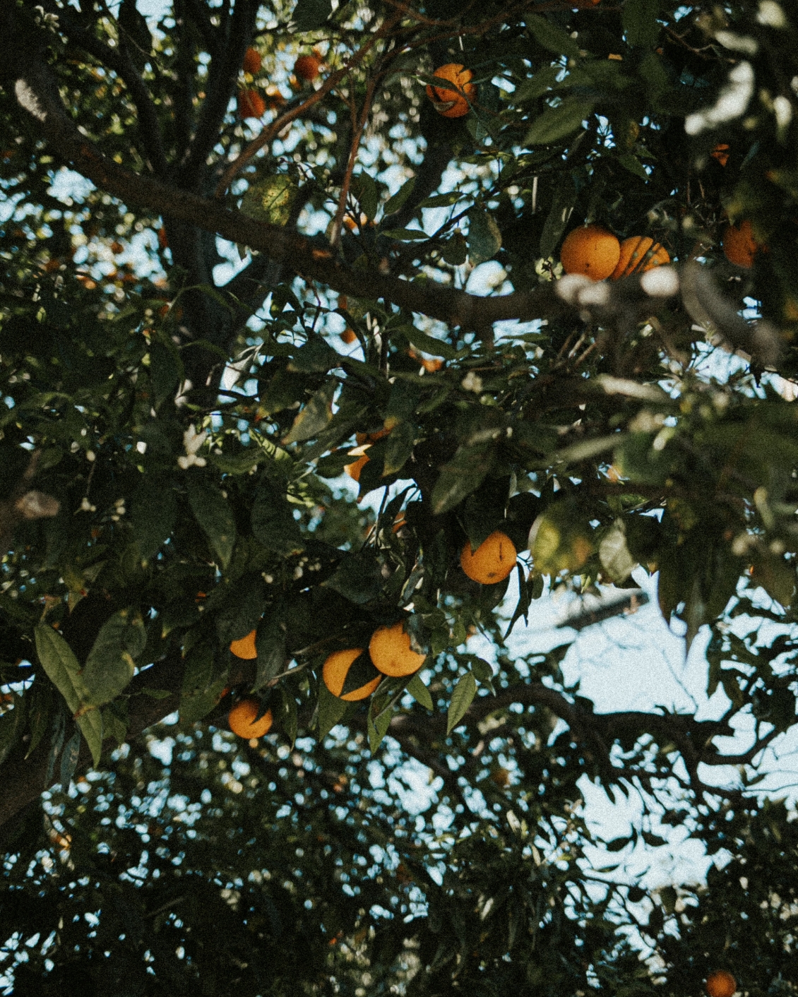 12 Destination Mallorca