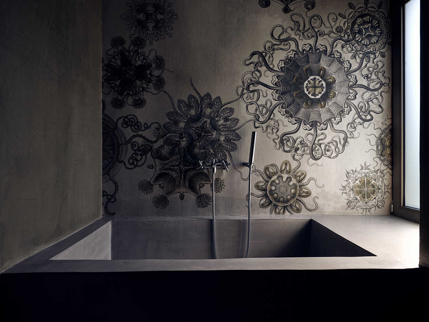 Ekies Large Suite V3 R 07