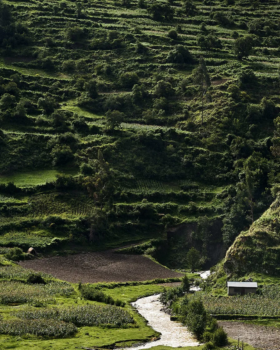 Pachamama S Land Part 1