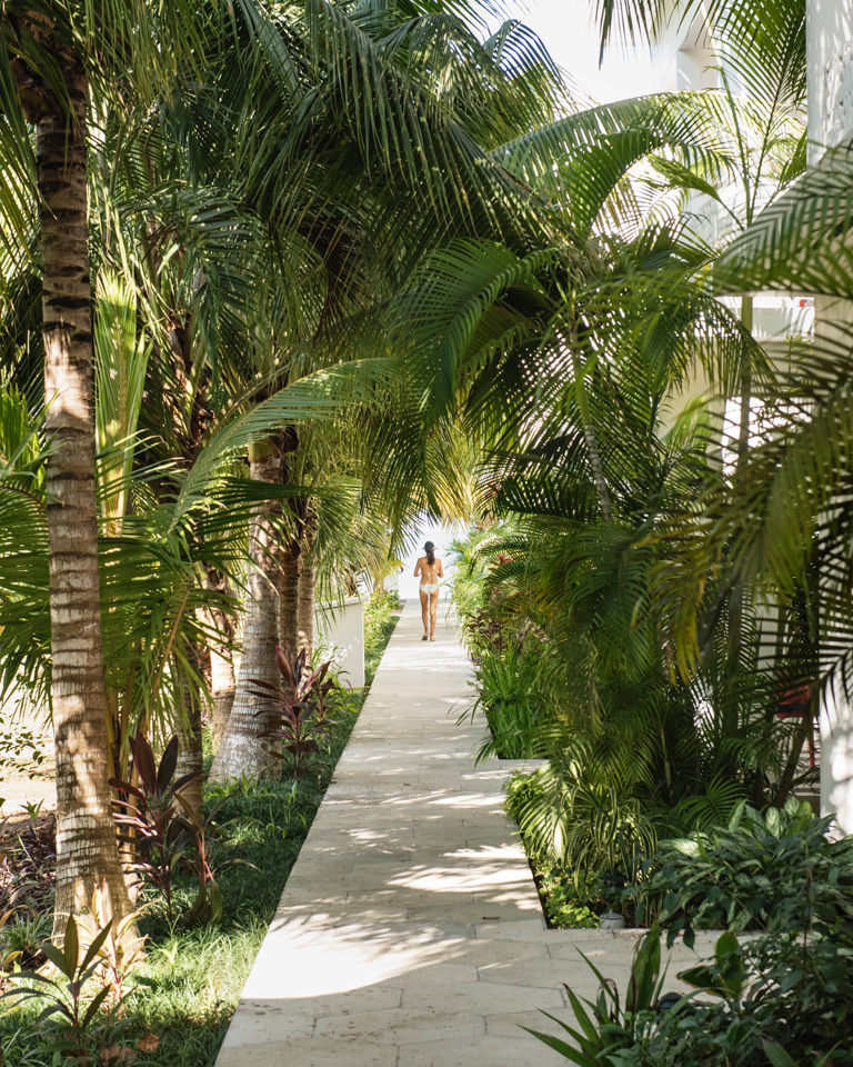 009 Skylark Negril Beach Resort Palm Trees Walk