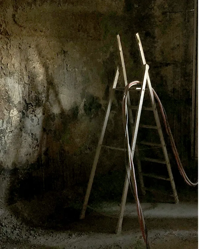 Blog SP Dexamenes 03