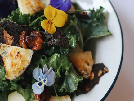 03 Indoor Farming Stamba B