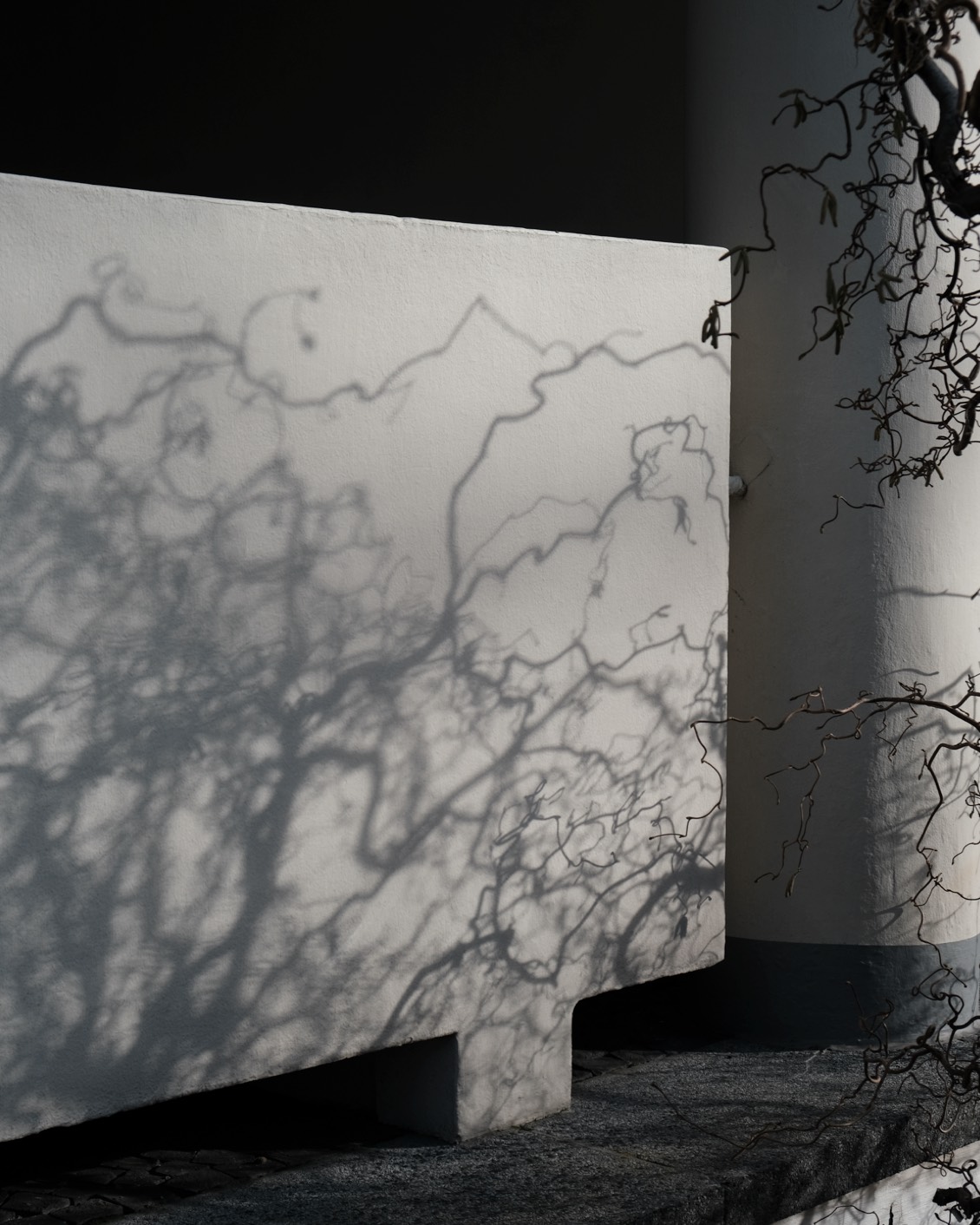 02 Berlin Interbau Apartment House Oscar Niemeyer