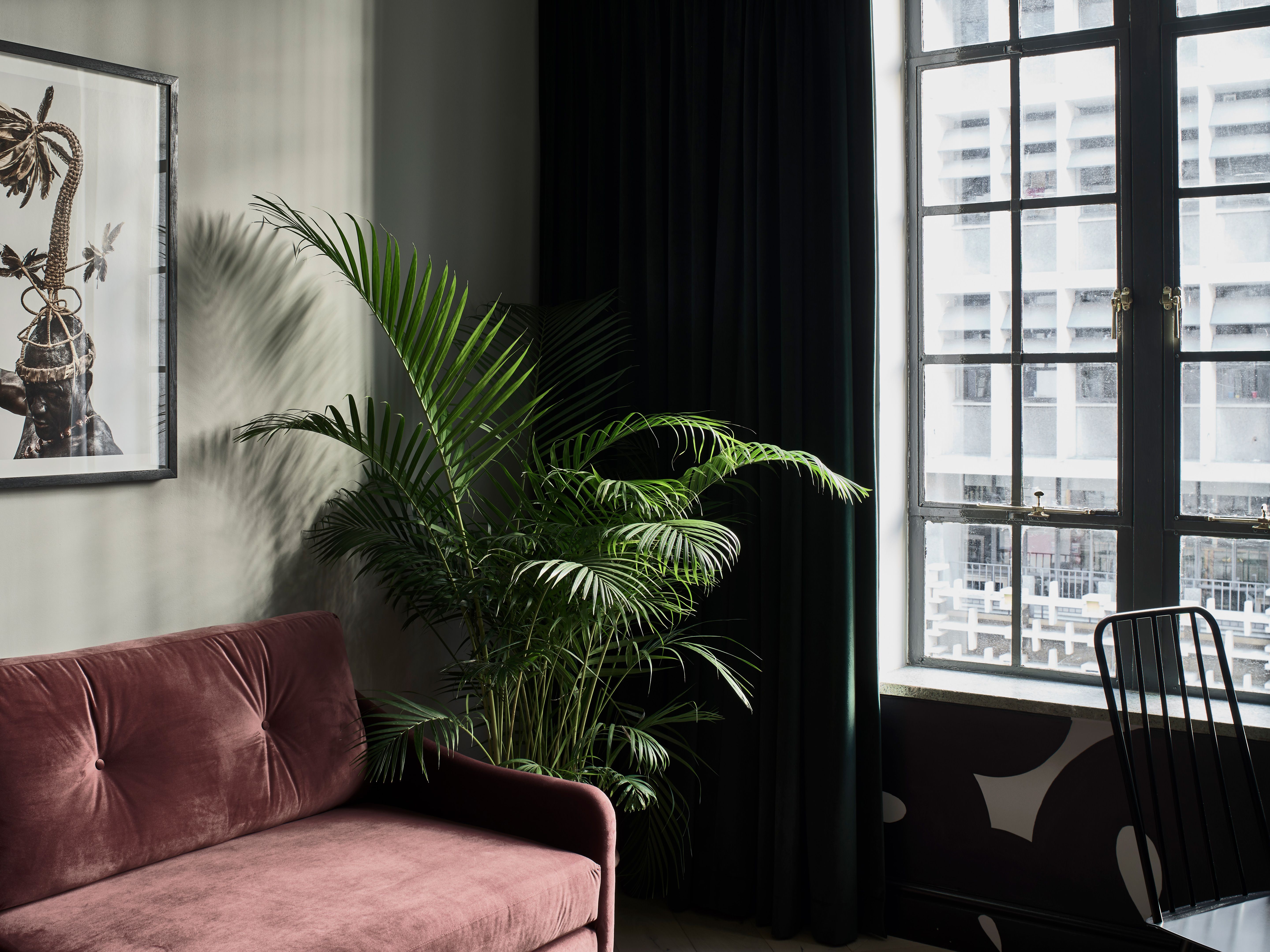 One Bedroom Suite, Gorgeous George