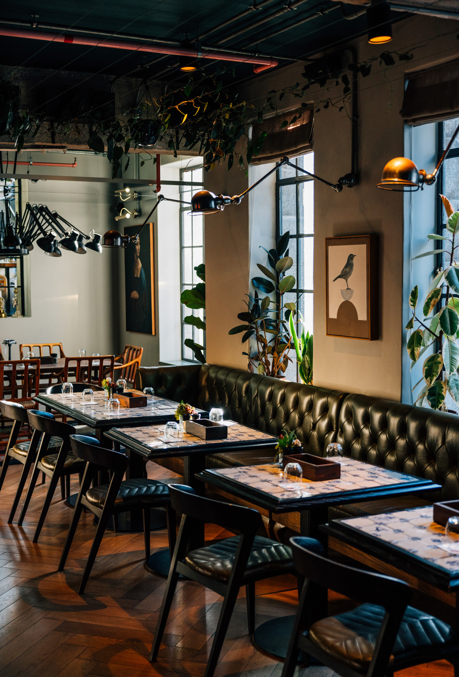 G 08 Gorgeous George