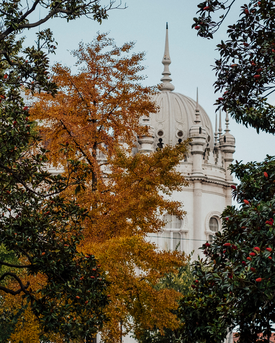 006 Principe Real Trees