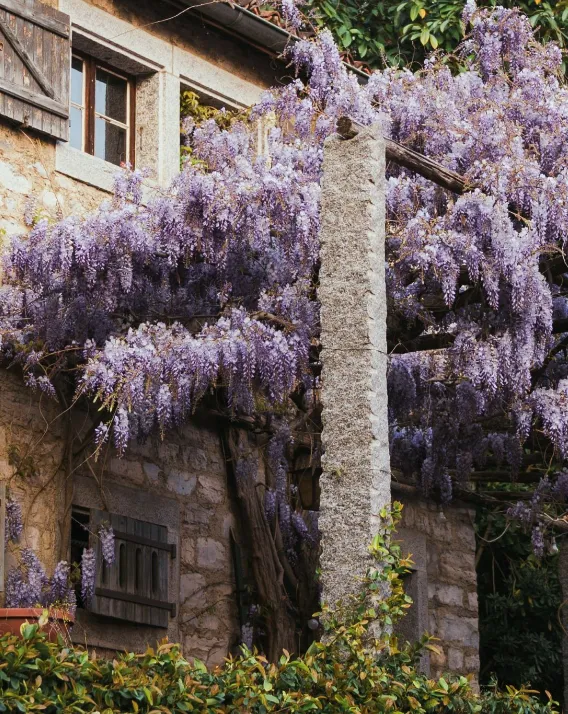 DHJ Stories Spring Hotels