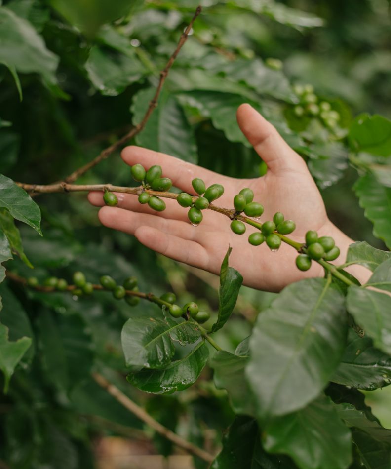 Hotel Belmar Theme Box 01 Destination 2