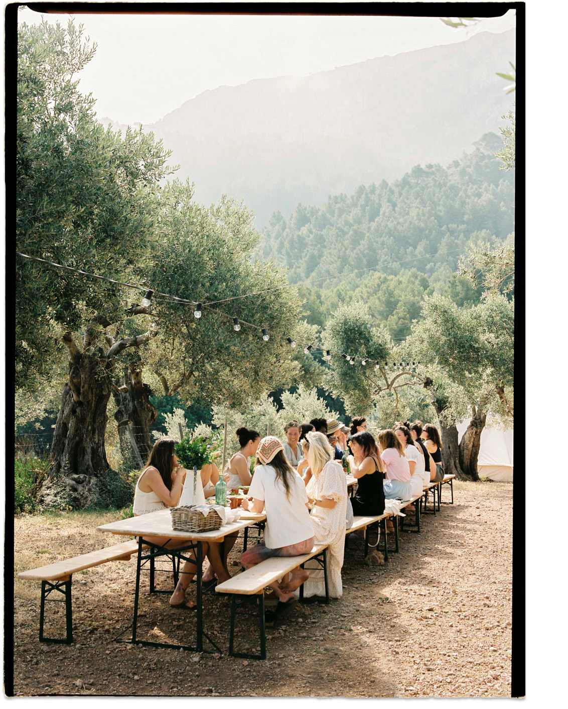 Microsoftteams Image (41)