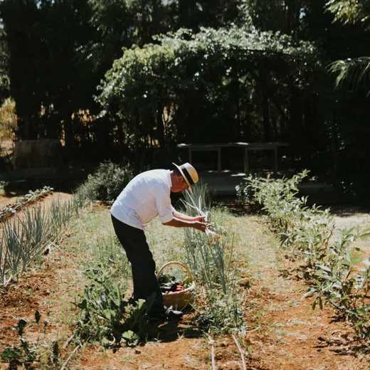 Sustainable Hotel Cretan Malia 02 Update