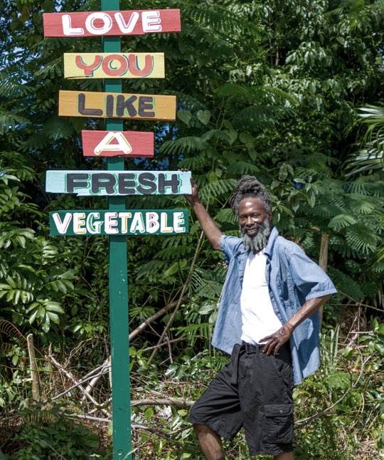 Rockhouse Skylark 01