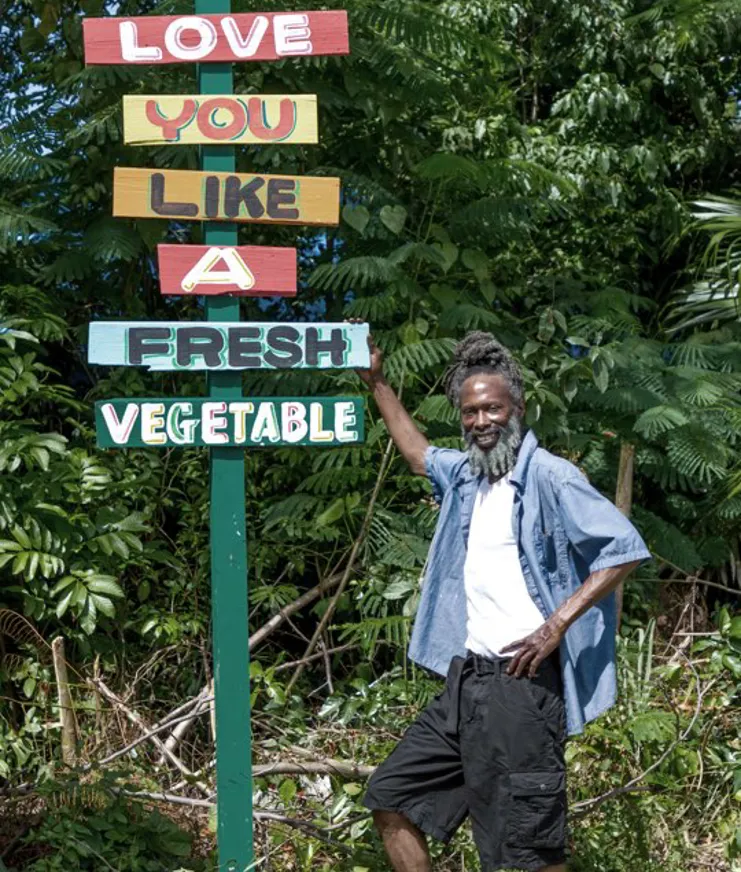 Rockhouse Skylark 01