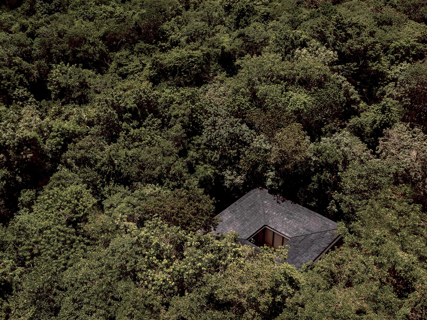 Boca De Agua 2 Bedroom Pool Treehouse R V2 02