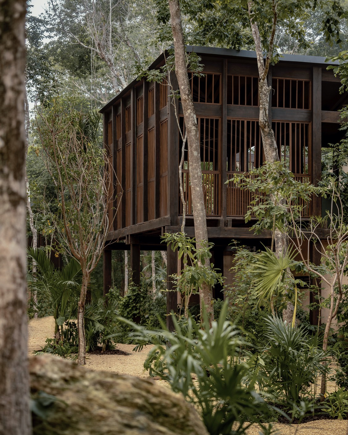 014 Rodrigo Juarez Boca De Agua Carousel 01