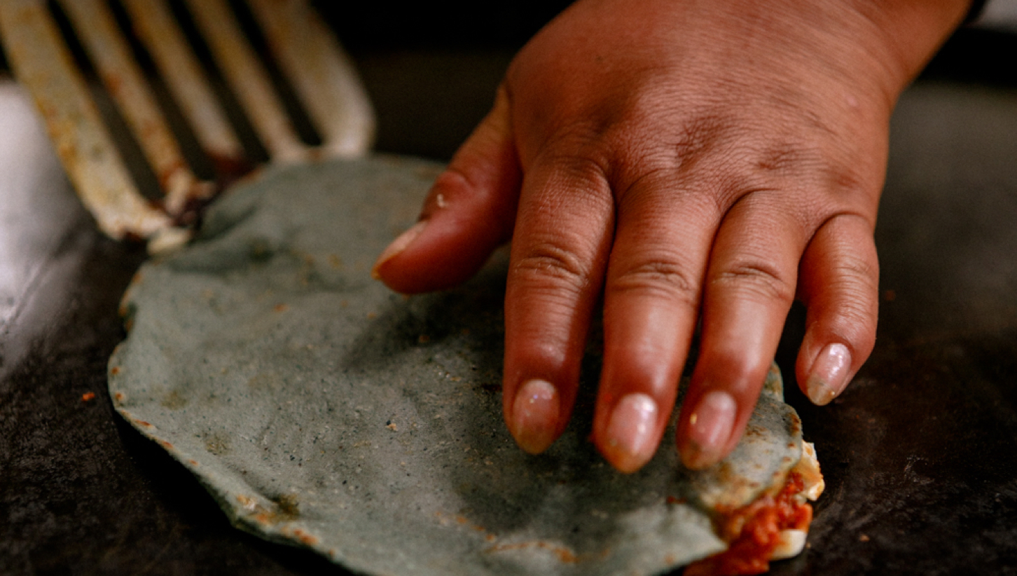 010 Mexico I Quesadillas