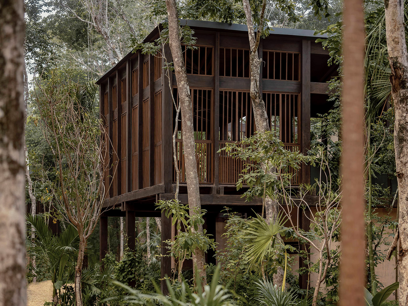 Boca De Agua Master Pool Treehouse R V2 05