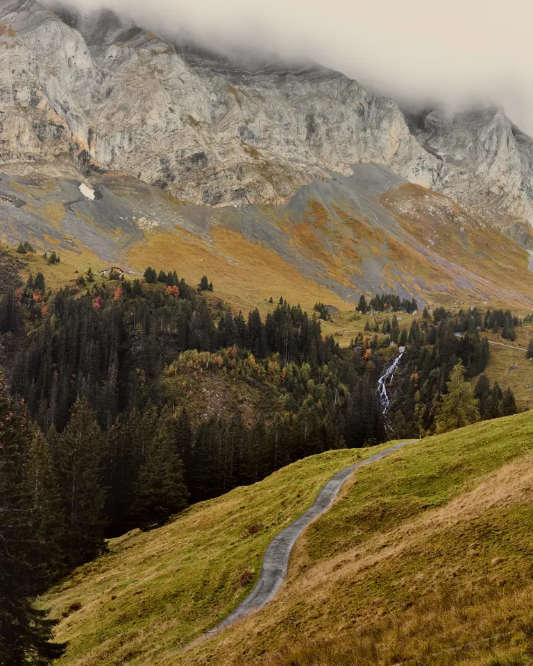 02 The Cambrian Mushroom Foraging