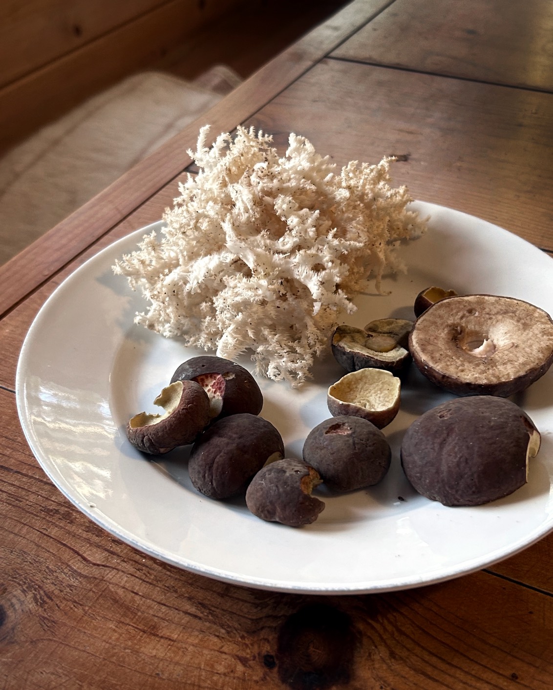 Journal Article Autumn 2023 07