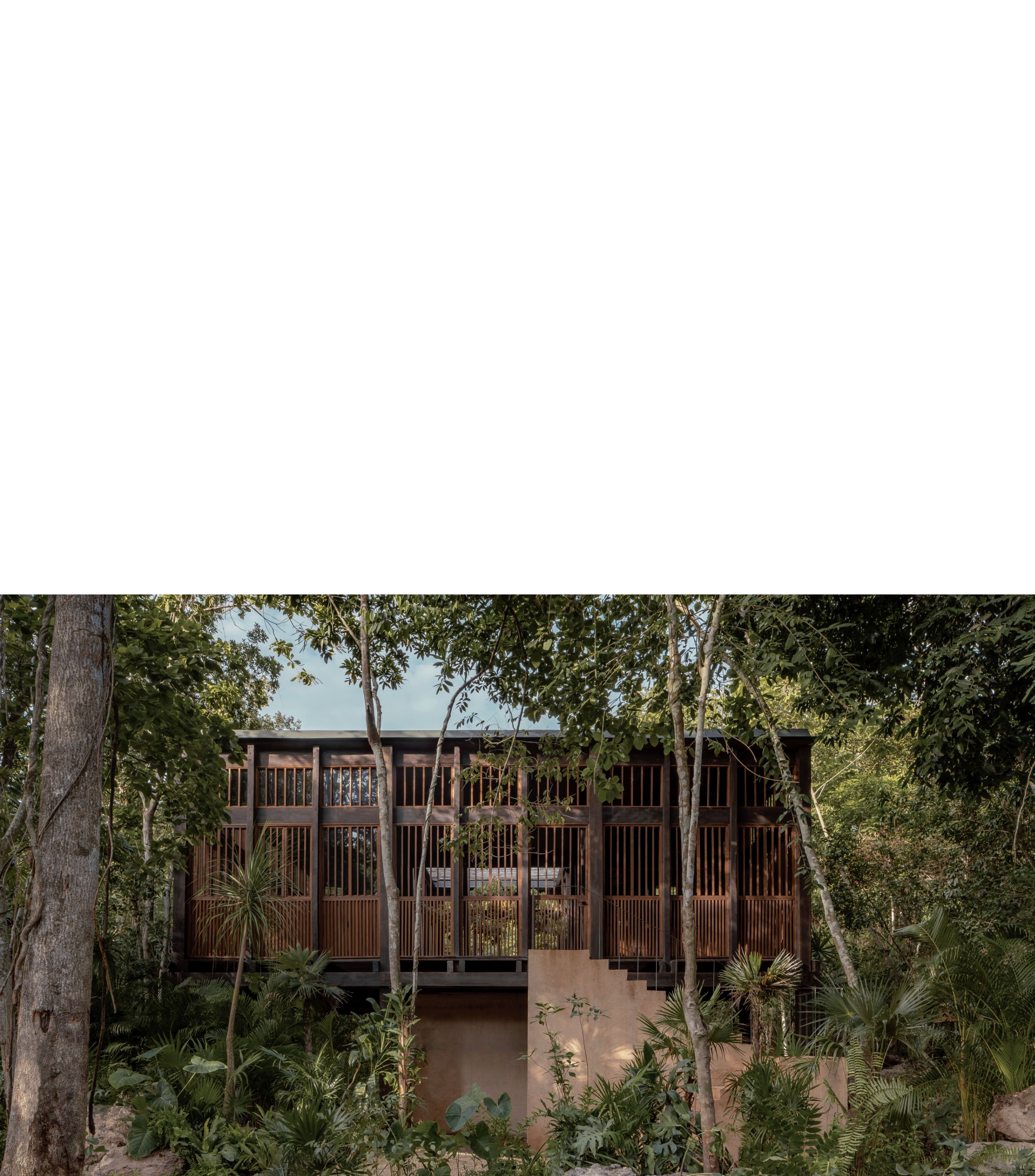 10 Top Tropical Modernist Hotels Boca De Agua Architecture (1)