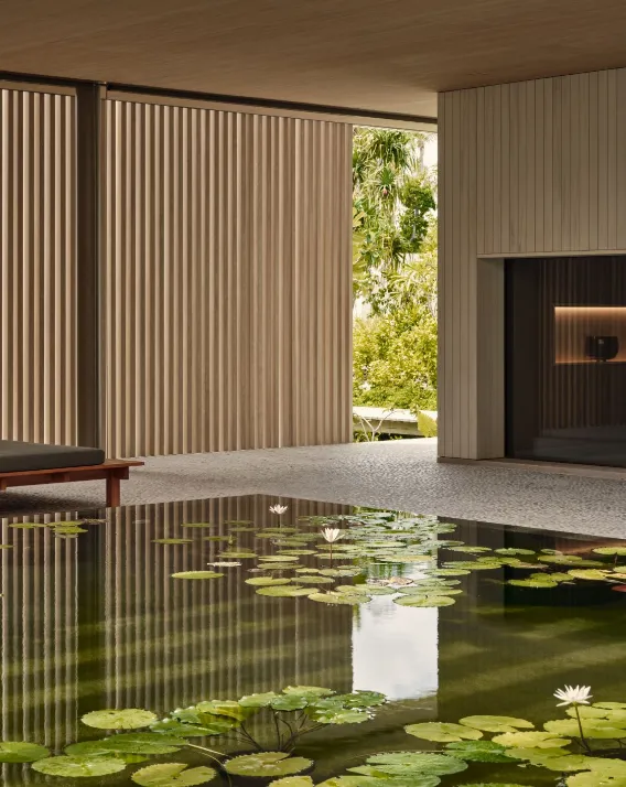 JS Tropical Modernism