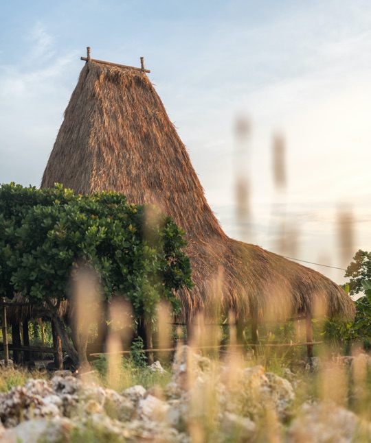 Microsoftteams Image (1)