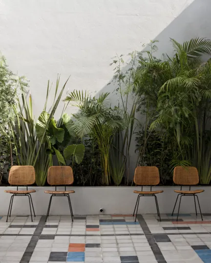 05 Places To Stay Worldcup Guadalajara Casa Habita Terrace