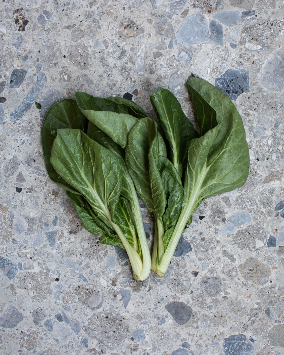 09 MBO Filario Hotel And Residences Food 2