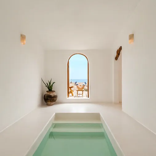 G 06 Nest Baja Mexico