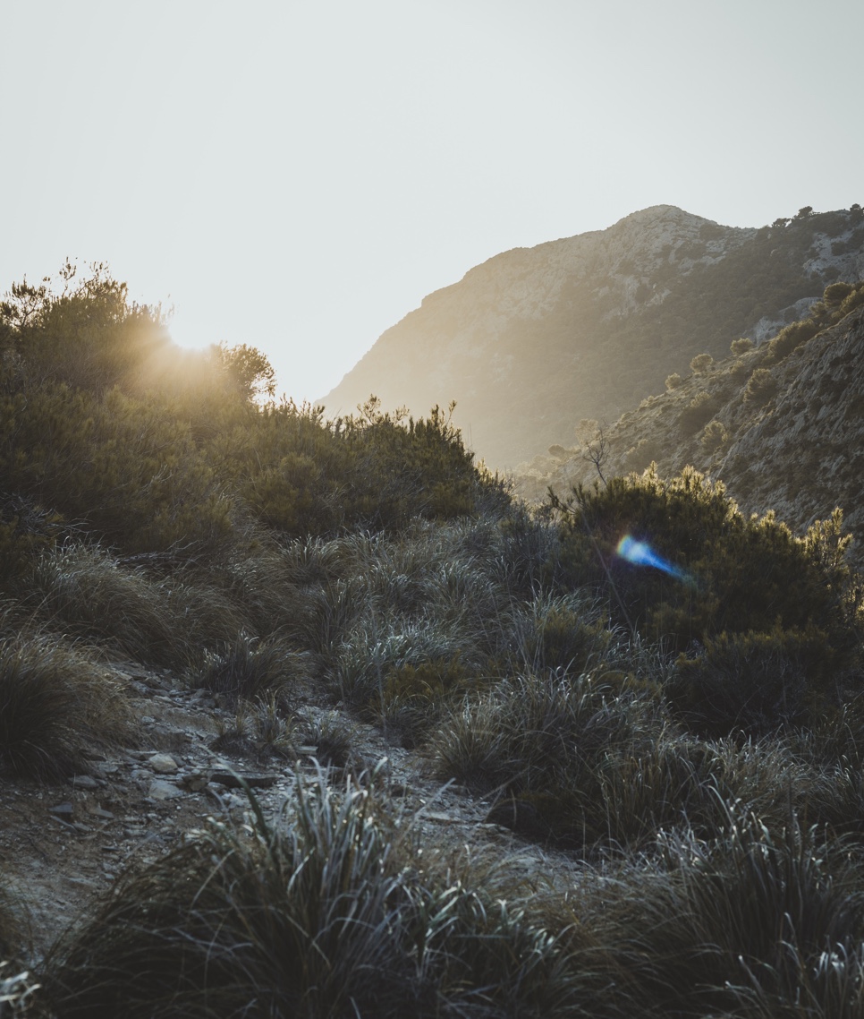 Nobis Conceptio Mallorca Nature