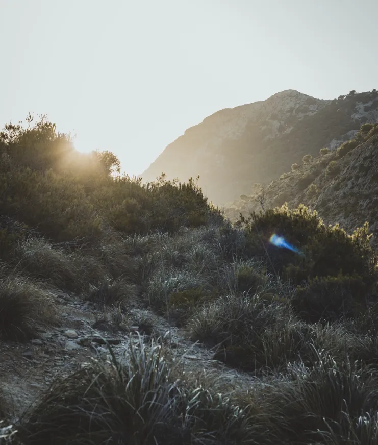 Nobis Conceptio Mallorca Nature