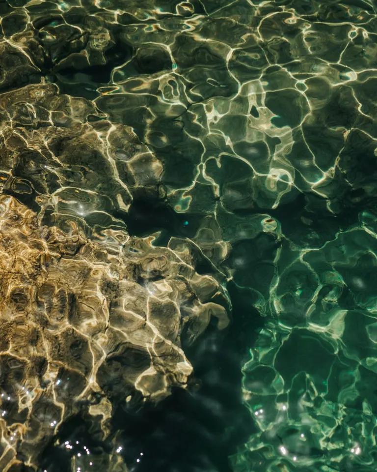 03 Sneak Peak Tella Terra Water Mood