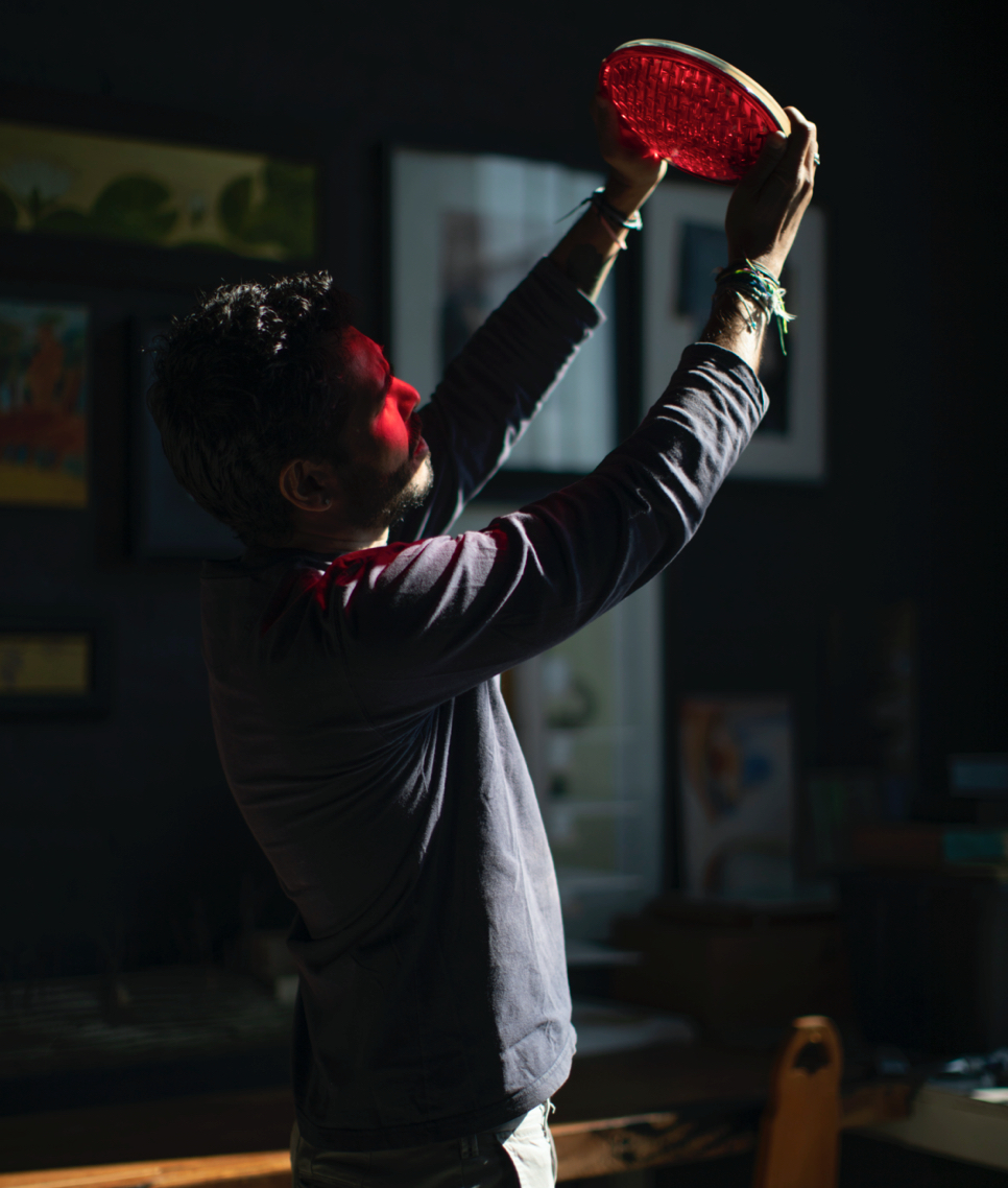 MBO Elena De Cobre 05