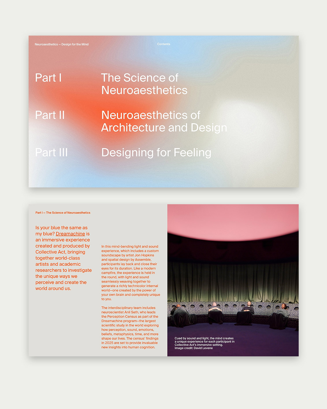 FF NE Site Carouse 01