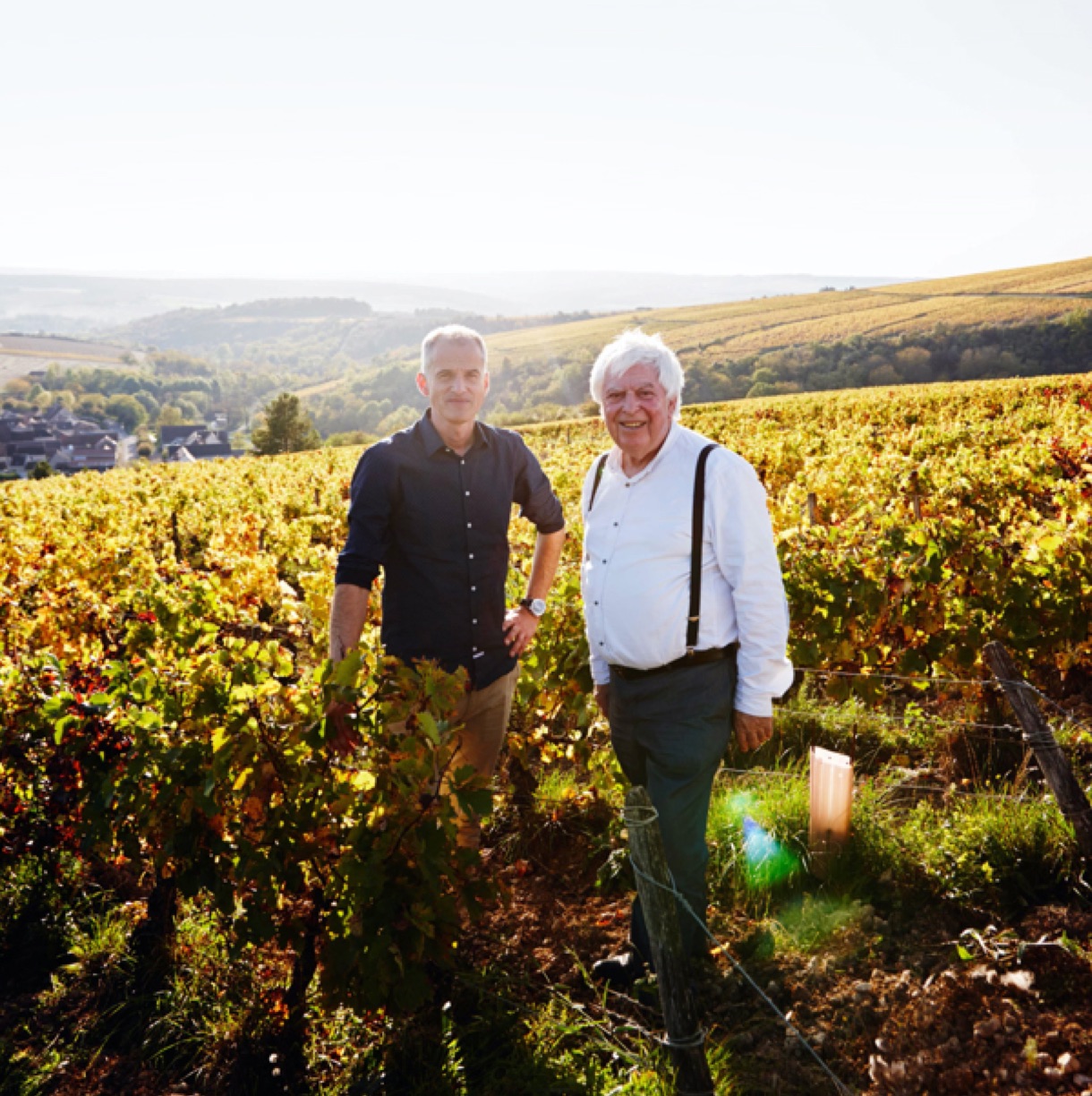 Sustainable Hotel Chateau De La Resle 01