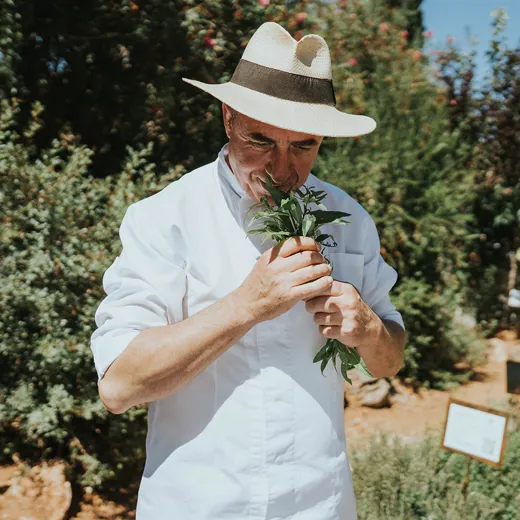 Dh Community Blog Cretan Malia Park Culinary Chronicles Chef Lefteris Iliadis