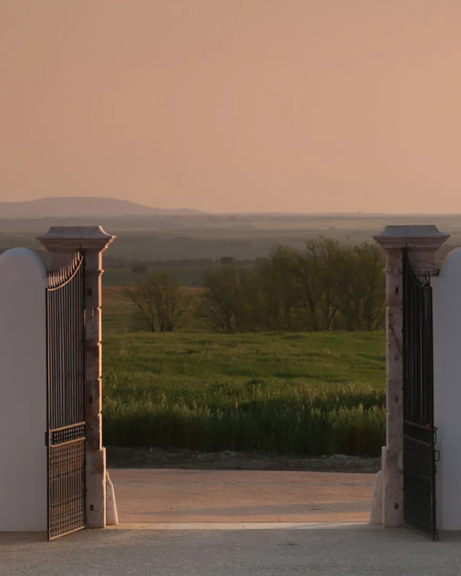 001 Biodynamics Vineyards Header