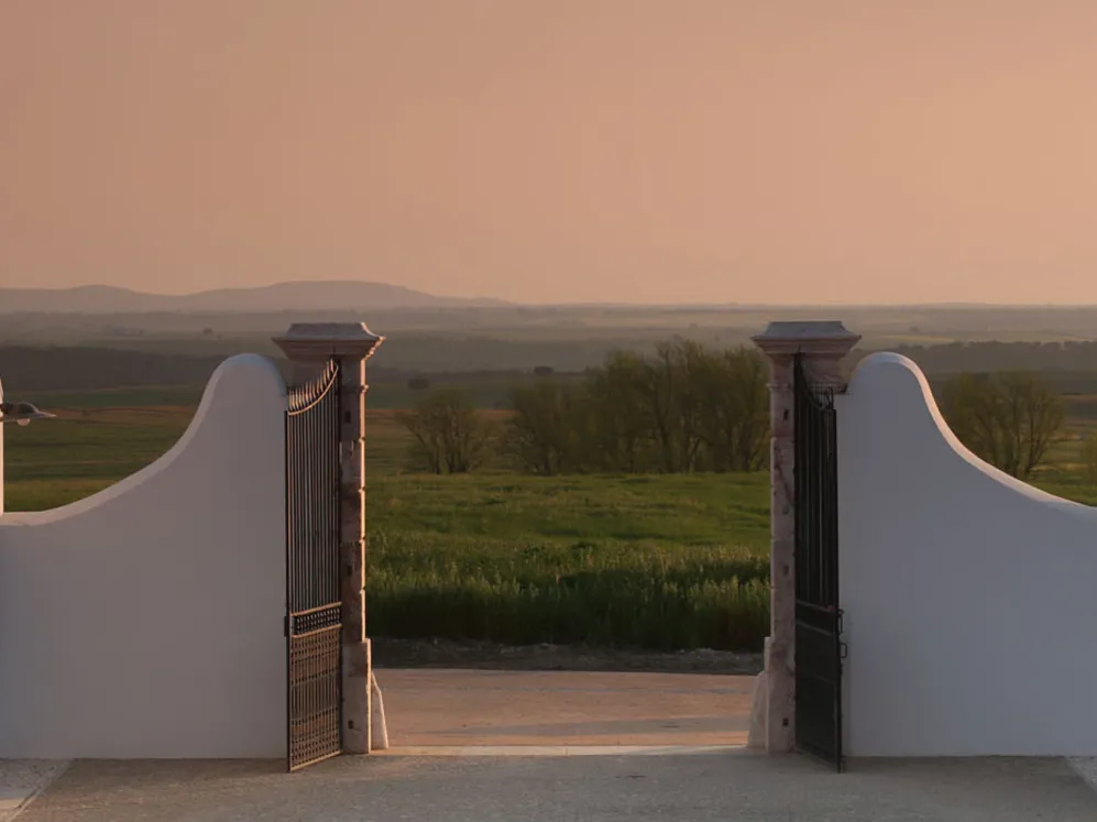 001 Biodynamics Vineyards Header