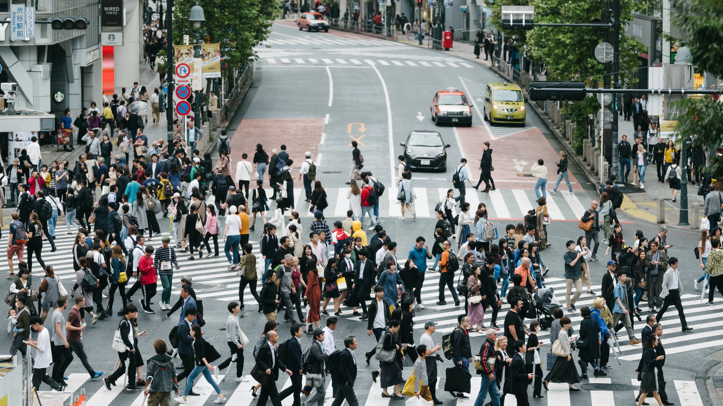 BP Walking Meditation 05