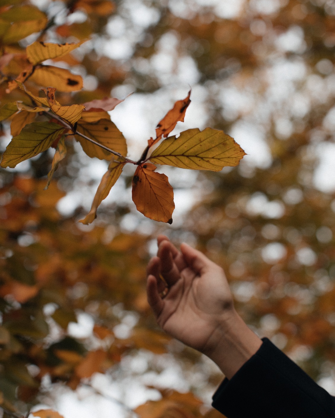 17 MBO Inhabit Nadira Lalji