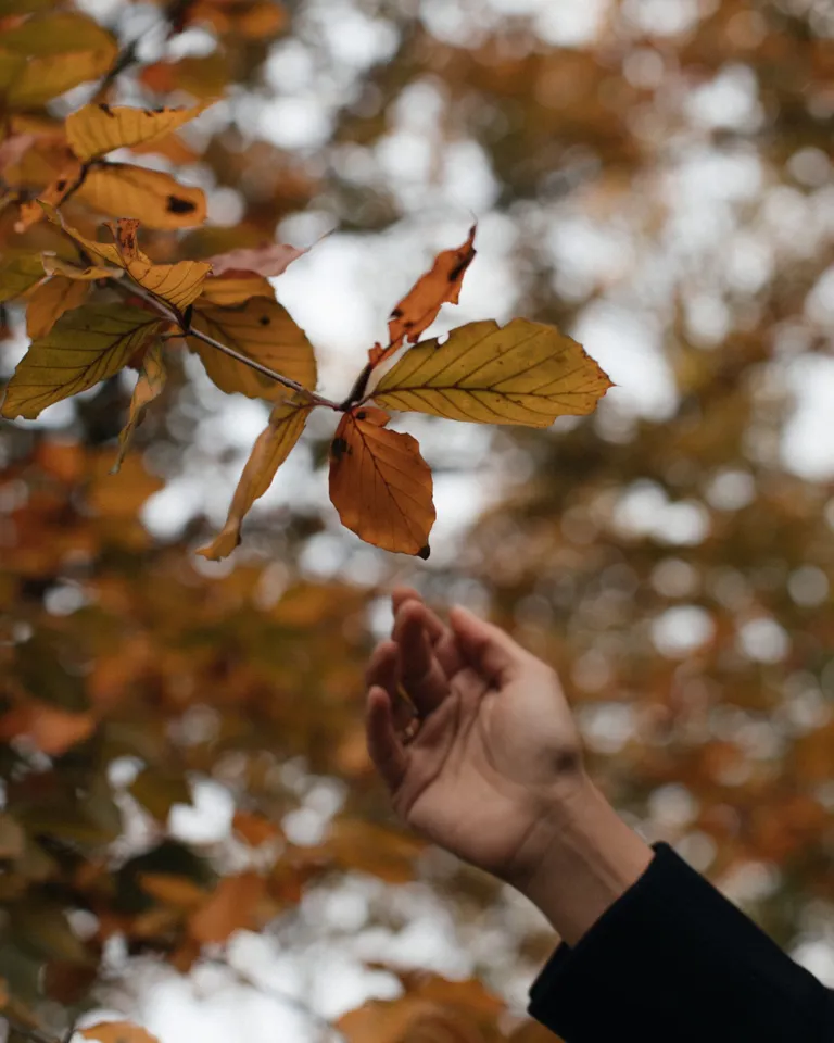 17 MBO Inhabit Nadira Lalji