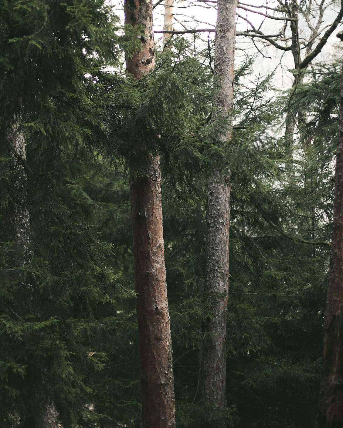 BP Walking Meditation 03