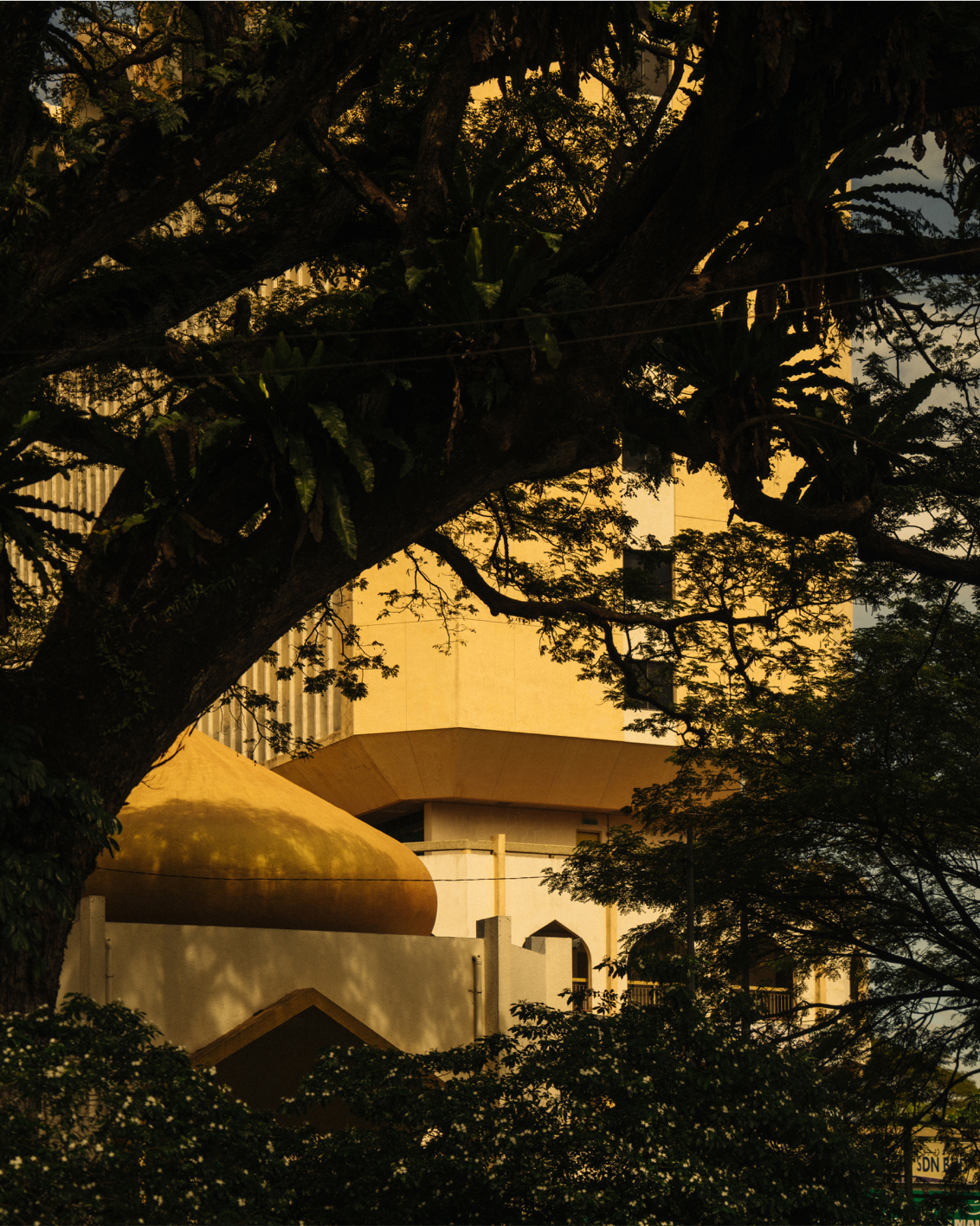 08A MBO Luma Highress