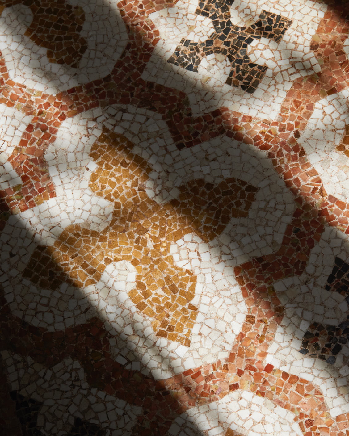 003 Palazzo Daniele Tiles Detail