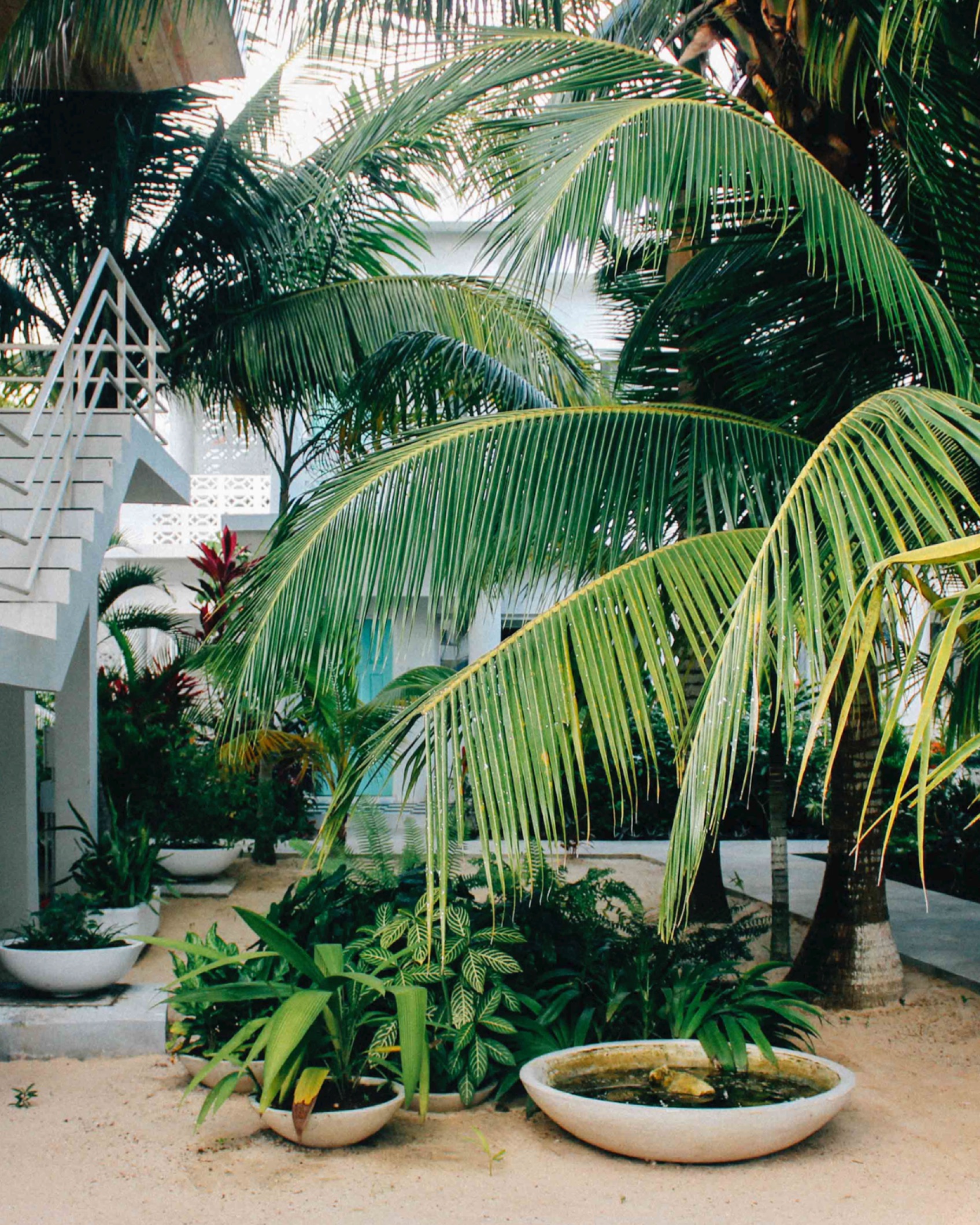 BP Beautiful Gardens 13