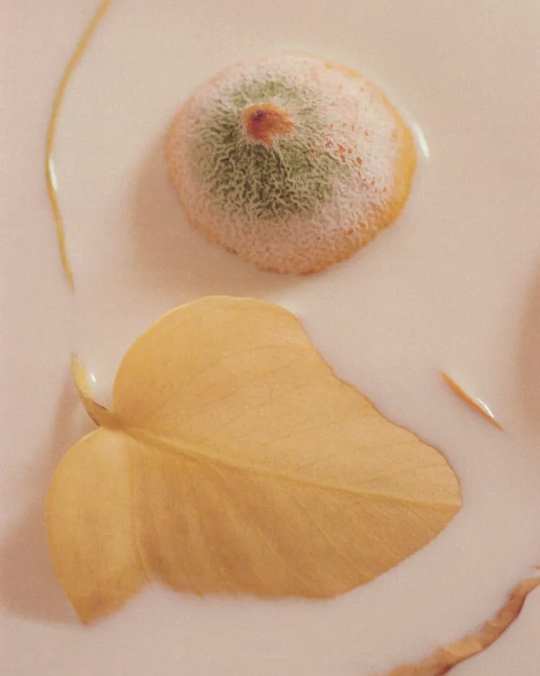 DH Culture BP Arianna Lago 13