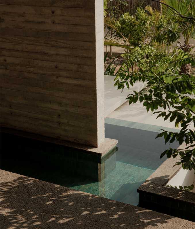 Musa Architecture 03